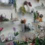 Gallery Professionale