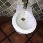 Gallery Professionale