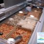 Gallery Professionale