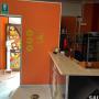 Gallery Professionale