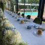Gallery Professionale