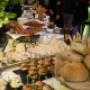Gallery Professionale