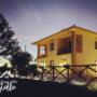 Gallery Professionale