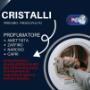 Cristalli per bucato da 1 kg