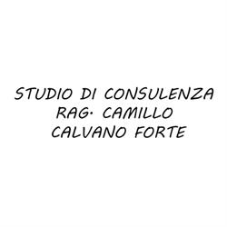 Studio di Consulenza Rag. Camillo Calvano Forte