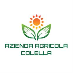 Colella Vito Francesco