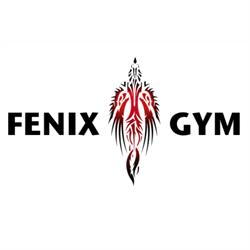 Palestra Fenix Gym - Adro