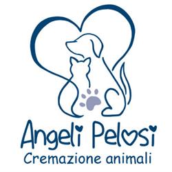 Angeli Pelosi