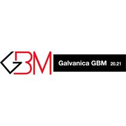 GBM 20.21