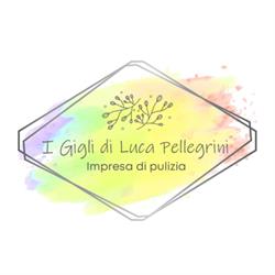 I Gigli Impresa di Pulizie