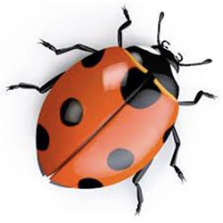 Agriturismo La Coccinella