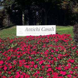 Antichi Casali s.a.s. (Ufficio vendite)