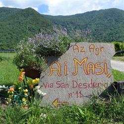 Azienda agricola Ai Masi