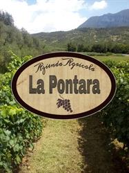 Az.Agricola "La Pontara"