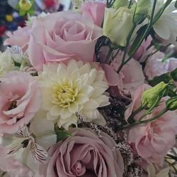 Eden piante e fiori di Bucari Alessandra