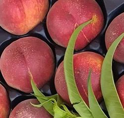 Spaccio Ortofrutta