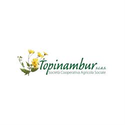 Topinambur Cooperativa Agricola