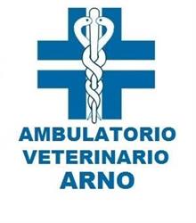 Ambulatorio Veterinario Arno