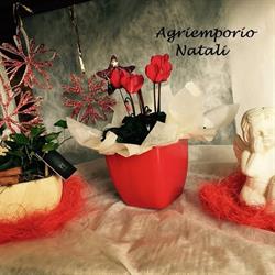 Agriemporio Natali