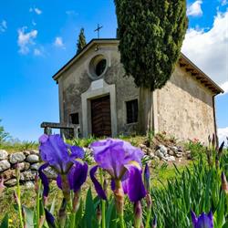 Agriturismo San Pietro
