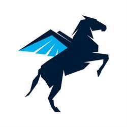 Pegaso Adv
