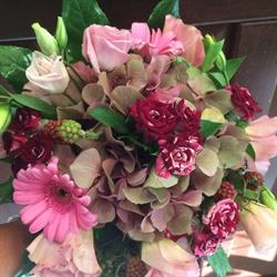 Flop Fiori e Piante