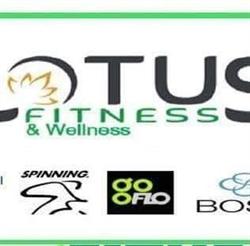 Lotus Fitness&Wellness in Cyf Sport Service