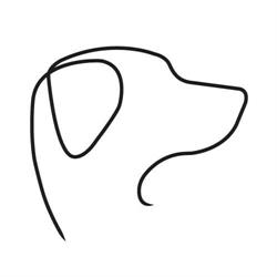 Persius Allevamento Amatoriale Labrador