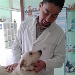 Centro Veterinario Polifunzionale Domitio