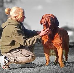Allevamento Les Dogues de la Plaine Kennel