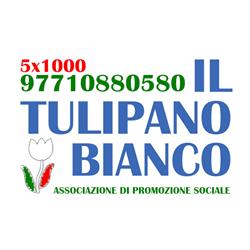 Il Tulipano Bianco