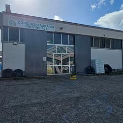 Consorzio Agrario Borgia