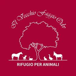Azienda Agricola Il Vecchio Faggio