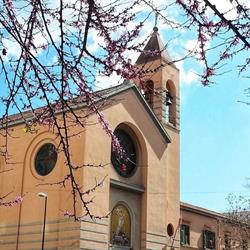 Frati Minori di Terra Santa