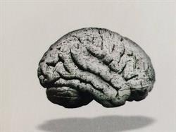 Centro Neurologico Marchese Ragona