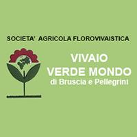 Vivaio Verde Mondo