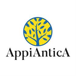 Centro Commerciale AppiAnticA