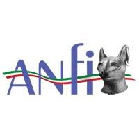 Anfi