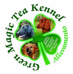 GREEN MAGIC TEA KENNEL