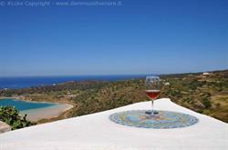 Dammusi di Venere Casa Vacanze