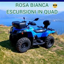 Rosa Bianca Quad