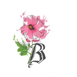 Malvarosa B&B