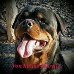 Kennel Von Hause Fabraiz