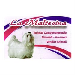 La Maltesina