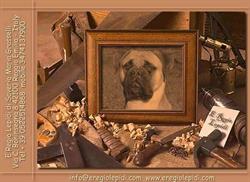 Allevamento Bullmastiff E. Regio Lepidi