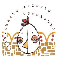 Allevamento Ottonello
