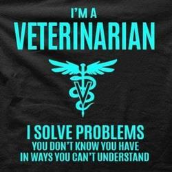 Ambulatorio Veterinario Stitch