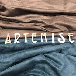ArteMise