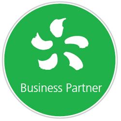 Punto Edison Business Partner