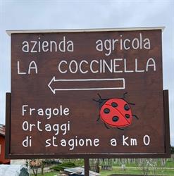 Az. Agr. La Coccinella